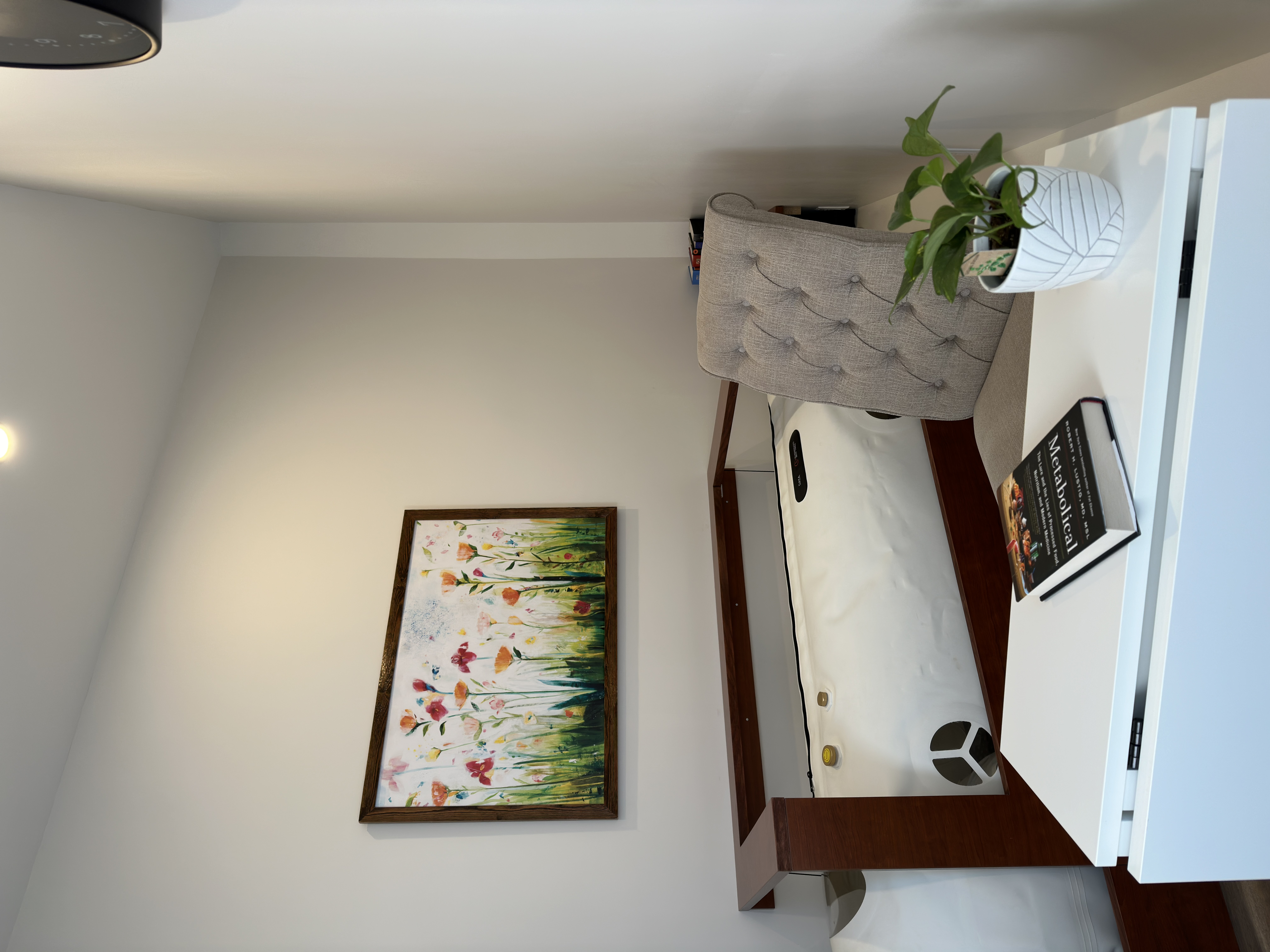 The soft-shell chamber from the side, with the floral painting above and natural light pouring across the room.